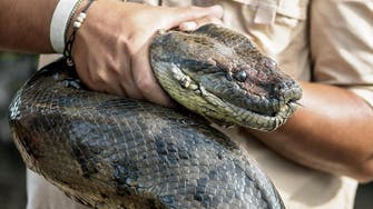 ‘I’ have a snake stuck to my face,’ US woman tells rescuers 