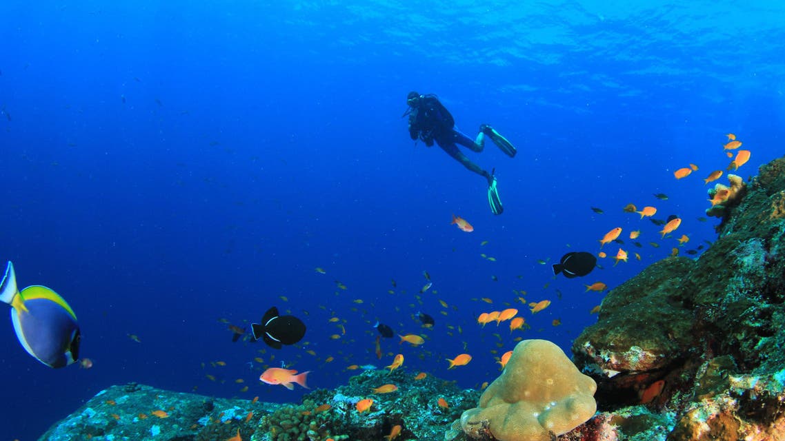 red sea shutterstock