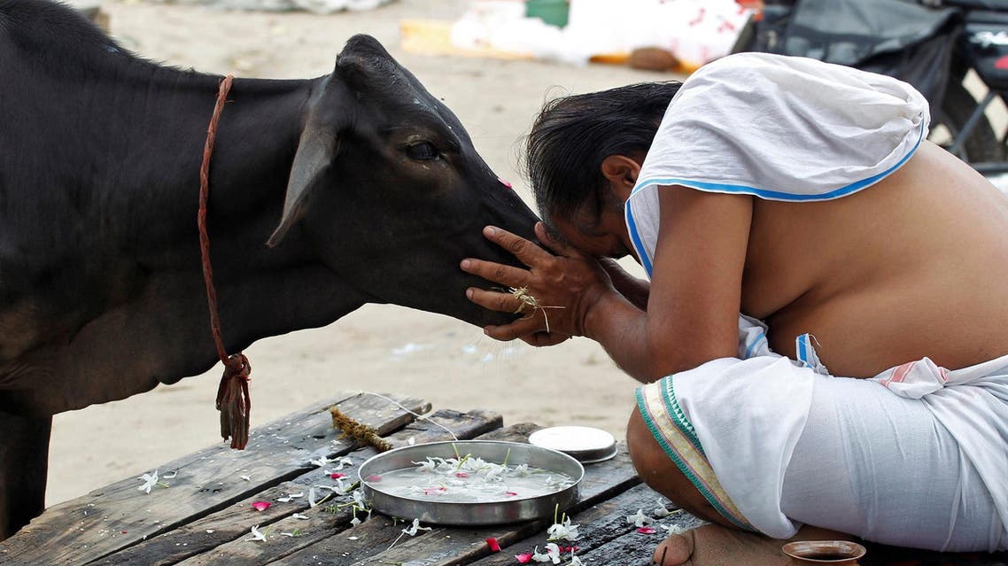 A Hindu devotee offers prayers to a cow in Allahabad, India, September 28, 2016. (Reuters)