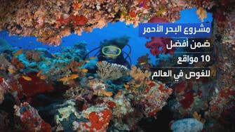 مشروع البحر الأحمر يتفوق على أفضل 10 وجهات شاطئية فاخرة