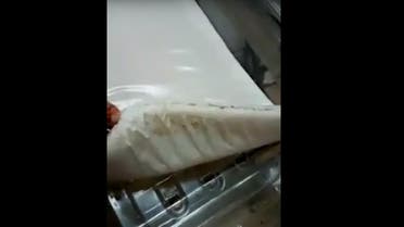 Bugs and worms seen in new born crib at Algerian private clinic