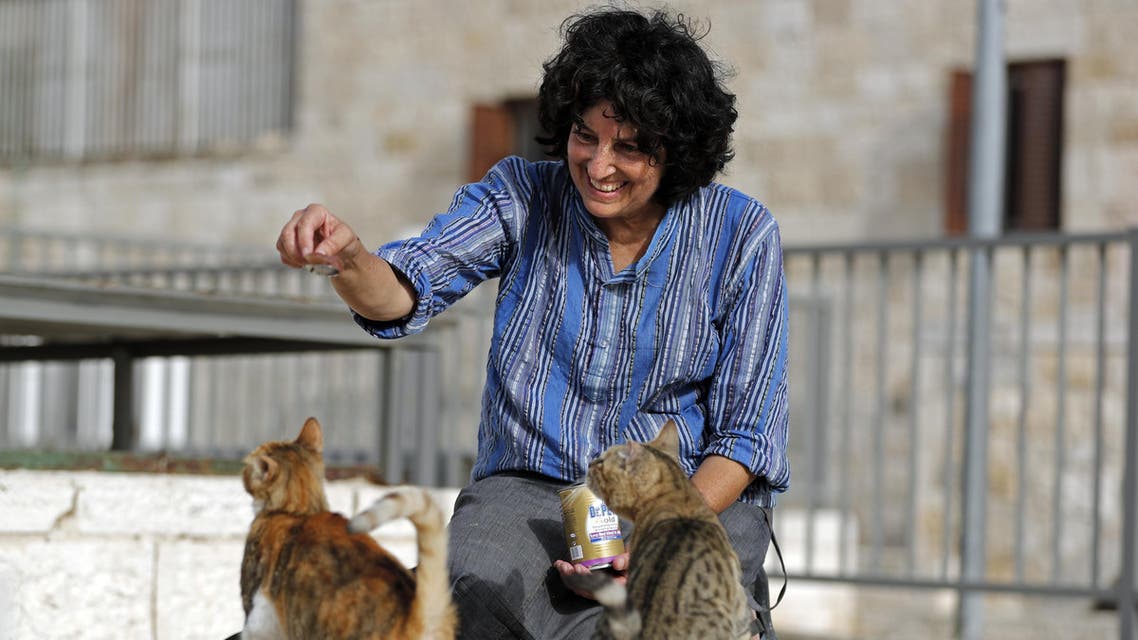 Tova Saul earning the informal title of the walled Old City's “cat lady”