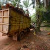 Indonesia ends deforestation pact with Norway, citing non-payment