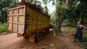 EU agrees to ban imports of products driving deforestation