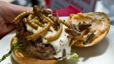 insect burger