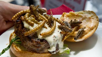Bug burgers? Switzerland supermarket offers gourmet insect food