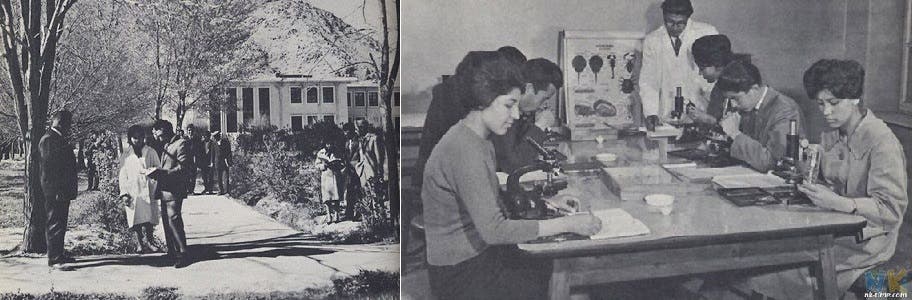 عکسهایی از کتاب محمد قیومی