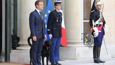 French president Emmanuel Macron (2L) stands outside the Elysee Palace in Paris on August 28, 2017, after a government meeting flanked by a dog named Nemo. (AP)