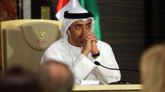 UAE FM: Int’l community should work together to protect energy transportation