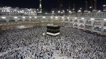The Passport Directorate said that it has given 73,488 licenses to expatriates working in transport sector at the holy sites. (AFP)
