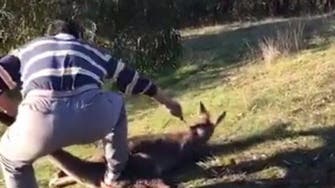 Disturbing video shows man slitting a wounded kangaroo’s throat 