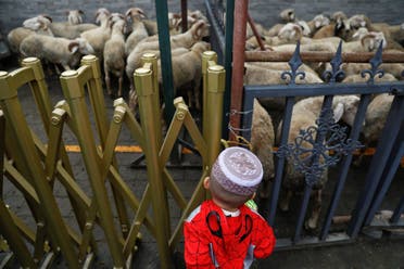 A boy looks at sheep that will be sacrificed on the Eid al-Adha as Muslims gather at the historic Niujie mosque to pray and celebrate the holiday, also known as the Feast of the Sacrifice, in Beijing, China, September 1, 2017. (Reuters)