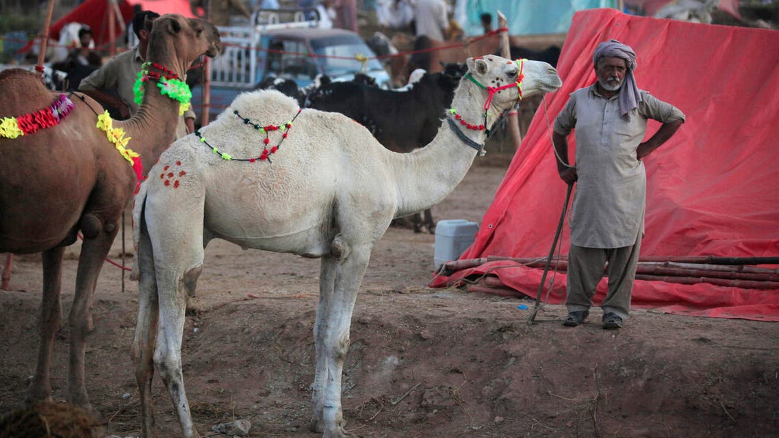 باكستان