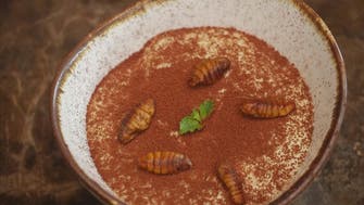 Gourmet grub: Thai fine-diners explore insect cuisine