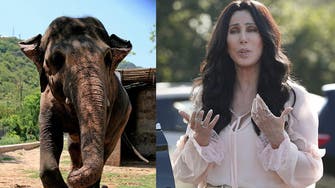 Why American singer Cher wants this elephant in Pakistan zoo freed