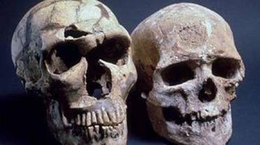 جمجمة الإنسان المعاصر على اليمين، وعلى اليسار جمجمة النياندرتال