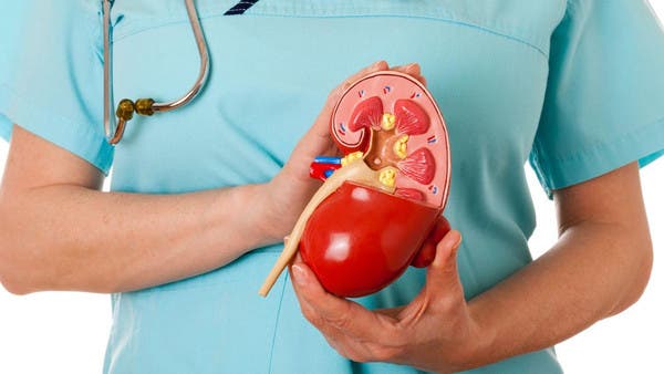 A deficiency of an important enzyme in the body causes kidney disease