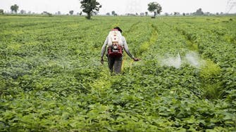 Indian state seizes spurious pesticides as poisoning kills at least 30