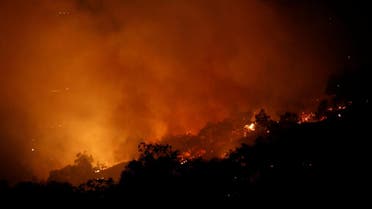The Pocket wildfire burns in the hills above Geyserville, California, US, October 13, 2017. (Reuters)