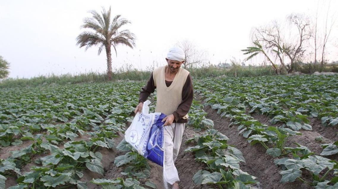 زراعة مصر