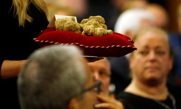 Hostess carries a set of truffles weighing 850 grams during the international auction for truffles at the Grinzane Castle in Grinzane Cavour near Alba, Italy, November 12, 2017. reuters