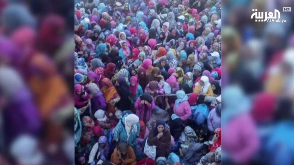 Stampede morocco