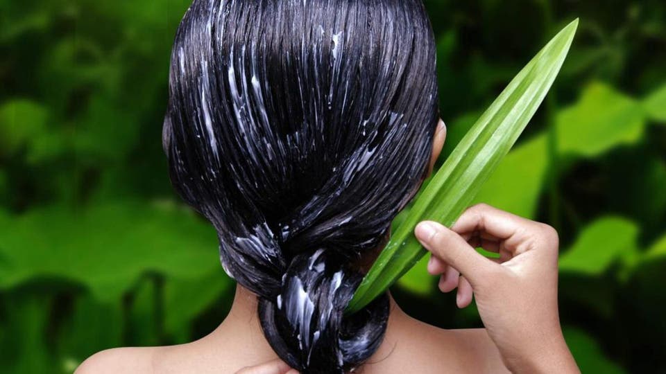 Conheça a babosa, o tratamento natural que o seu cabelo precisa