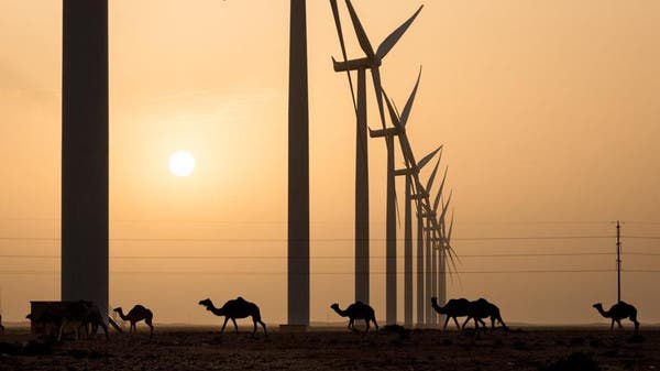 مصر توقع وثيقة مشروع ضخم لإنتاج الكهرباء من طاقة الرياح