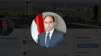 Egypt FM spokesman outraged by CNN, Guardian coverage of mosque terror attack 