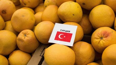 صادرات زراعية تركية إلى روسيا