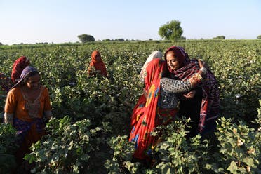 This photograph taken on September 27, 2017, shows Pakistani woman Mukhtiar Naz (R), known as Waderi Nazo Dharejo, meeting with her workers at her agriculture field in Qazi Ahmed in Sindh province. (AFP)