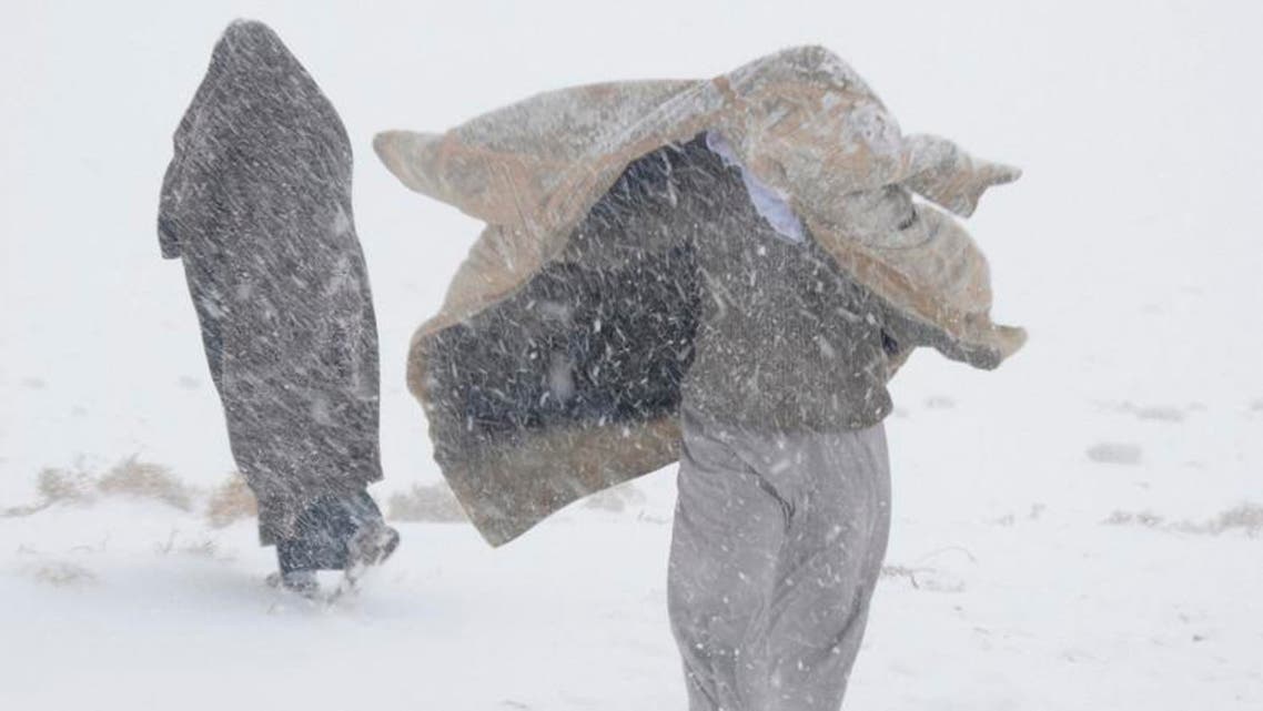 Saudi Arab Cold