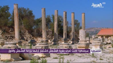 سبسطية .. كنز فلسطين الأثري