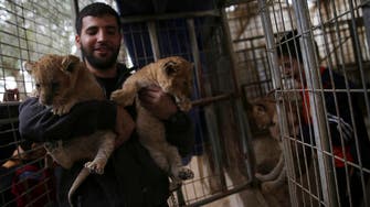 Gaza zoo tries to sell lion cubs fearing cost of care