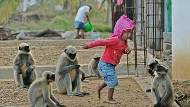 monkey toddler afp