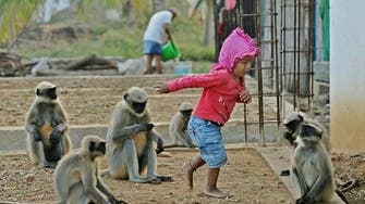 IN PICTURES: Indian toddler forges cute friendship with gang of monkeys