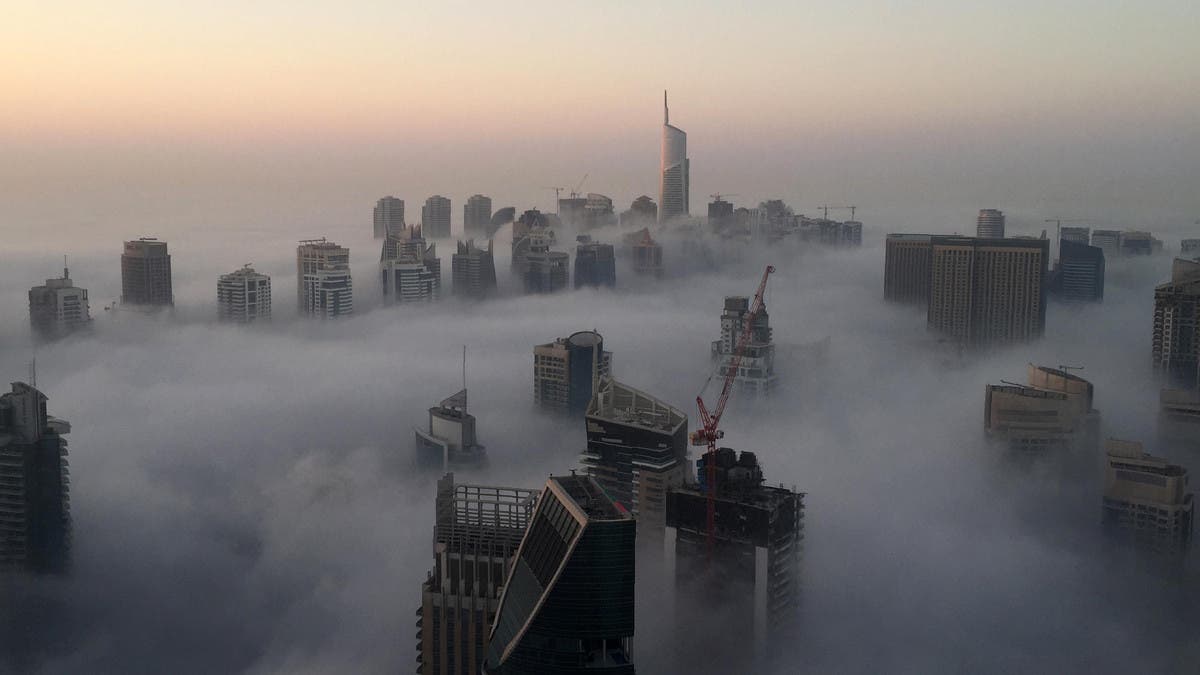 VIDEO: Dense fog causes dozens of cars to pile up on Abu Dhabi highway ...