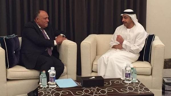 الإمارات: ندعم جهود مصر بالتوصل لحل سياسي لأزمة ليبيا