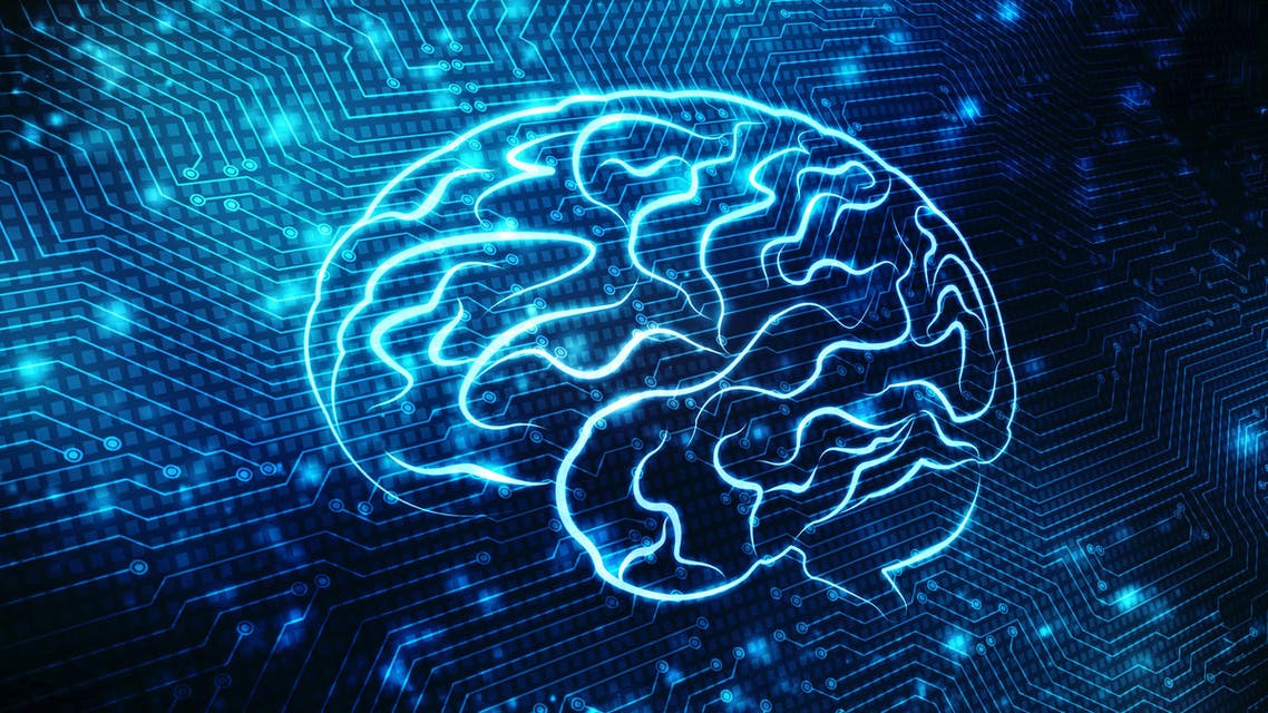 Brain (Shutterstock)