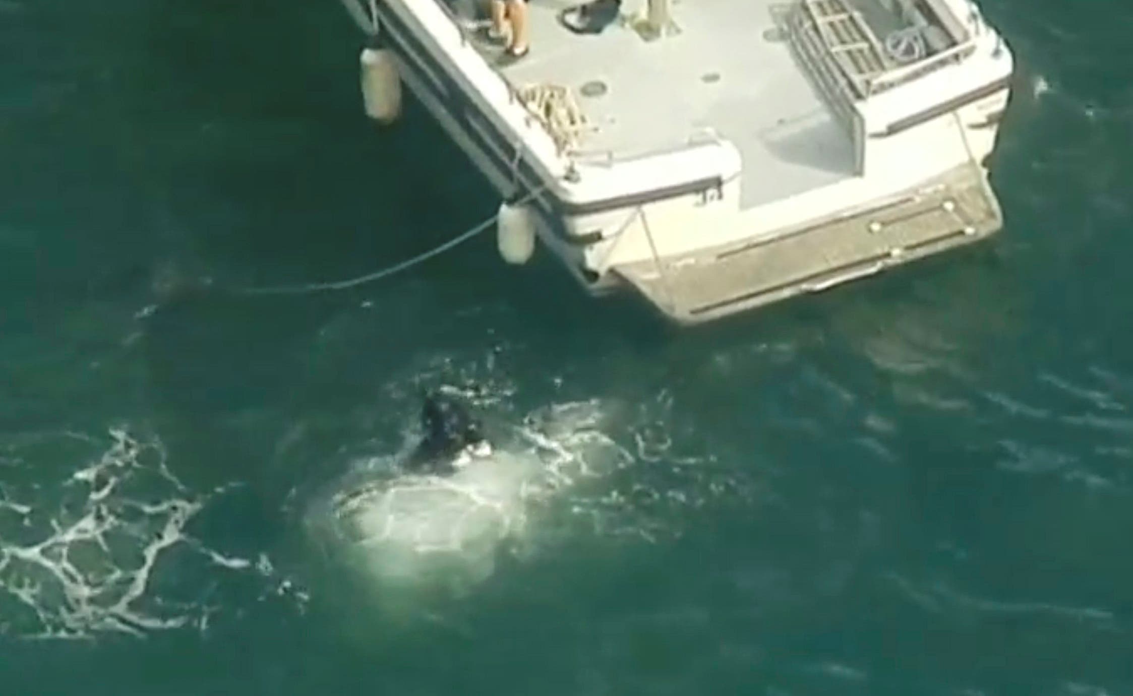 Sydney seaplane crash. (AP)