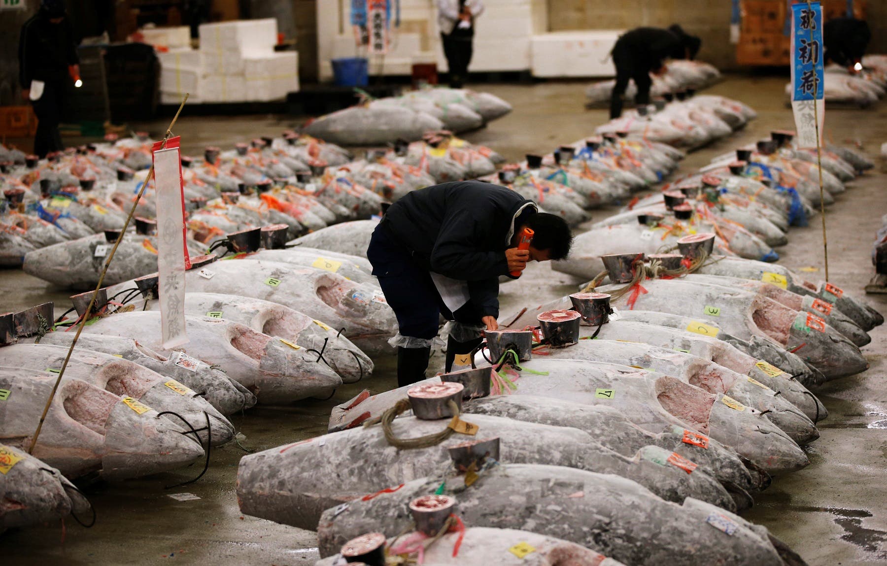 Цукидзи рыбный рынок в токио фото