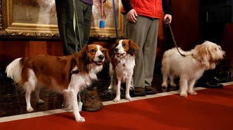 American Kennel Club recognizes two new dog breeds
