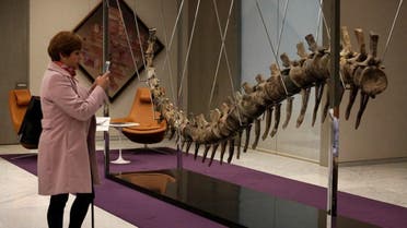 Woman takes a picture of the fossilized tail of a sauropod of the Atlasaurus imelakei species at the lobby of the BBVA Bancomer tower in Mexico City. (Reuters)