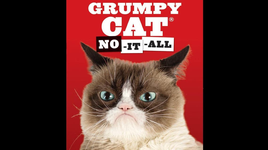 Grumpy Cat wins $710,000 payout in copyright lawsuit | Al Arabiya English