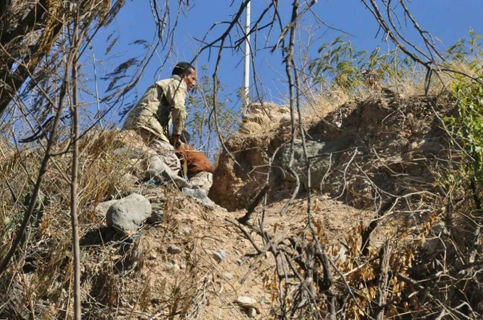 الجيش اليمني في معارك شرق تعز