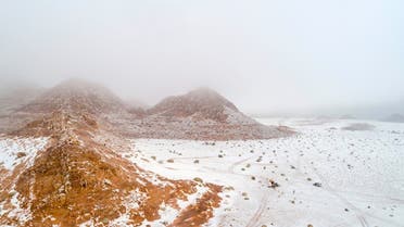 Saudi Snow. (Supplied)
