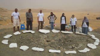 Female scientists discover 80-million-year-old dinosaur in Egypt