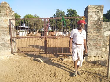 Owners of many cow sheds complain of lack of funds, fodder and medical facilities. (Supplied)