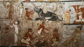 Ancient Egyptian priestess’ tomb discovery shows significance of monkeys