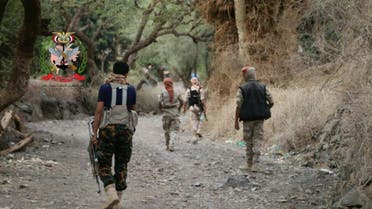 الجيش اليمني يطارد ميليشيات الحوثي غرب تعز